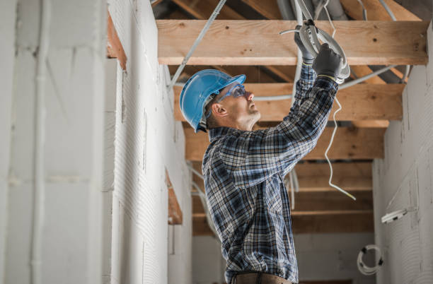Best Electric Panel Repair  in Chleston, AR